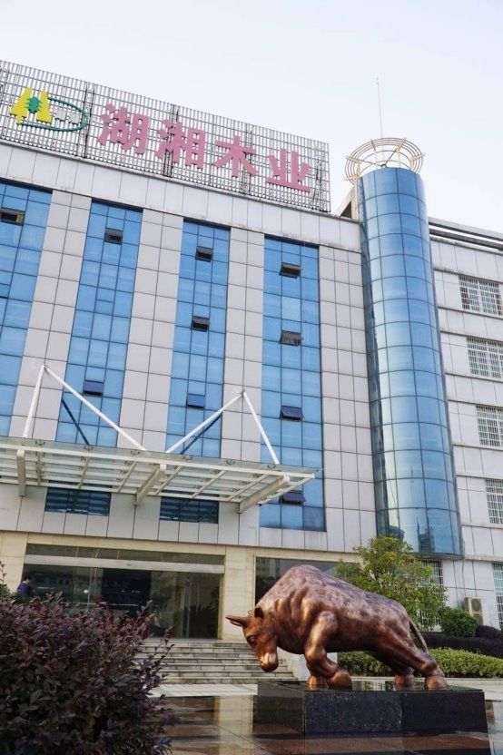 向标：板材十大品牌权威解读爱游戏app2025行业风(图2)